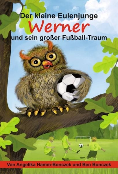 Produktbild: Der kleine Eulenjunge Werner und sein gro&szlig;er Fu&szlig;ball-Traum