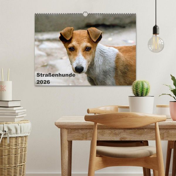 Produktbild: Stra&szlig;enhunde (Wandkalender 2026 DIN A3 quer), CALVENDO Monatskalender