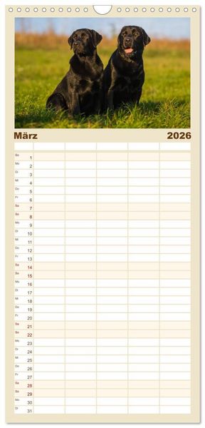 Produktbild: Familienplaner 2026 - Labrador Retriever - Freunde f&uuml;r&acute;s Leben mit 5 Spalten (Wandkalender, 21 x 45 cm) CALVENDO