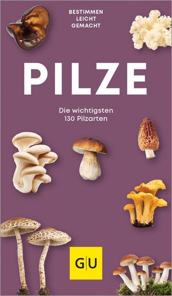 Produktbild: Pilze