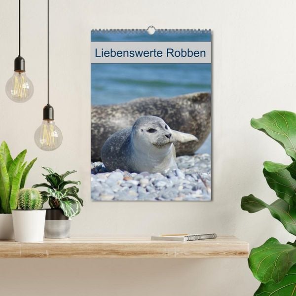 Produktbild: Liebenswerte Robben (Wandkalender 2027 DIN A3 hoch), CALVENDO Monatskalender
