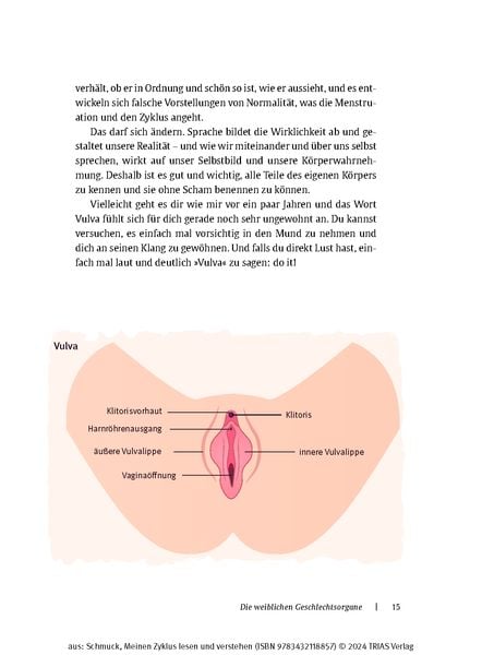 Produktbild: Meinen Zyklus lesen und verstehen