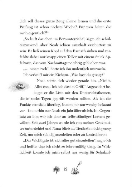 Produktbild: Ruby Fairygale (Band 4) - Das Tor zur Feenwelt