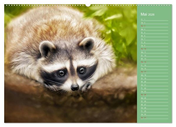 Produktbild: S&uuml;sse Tierwelt / CH-Version / Geburtstagskalender (hochwertiger Premium Wandkalender 2026 DIN A2 quer), Kunstdruck in Hochglanz