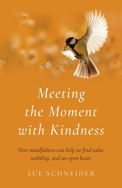 Produktbild: Meeting the Moment with Kindness