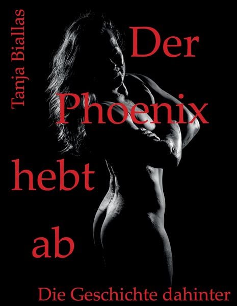 Produktbild: Der Phoenix hebt ab