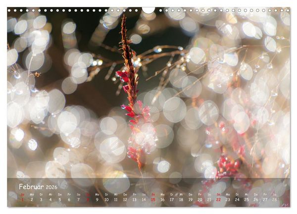 Produktbild: Zauberhaftes Norderstedt (Wandkalender 2026 DIN A3 quer), CALVENDO Monatskalender