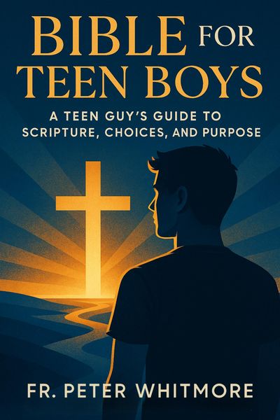 Produktbild: Bible for Teen Boys