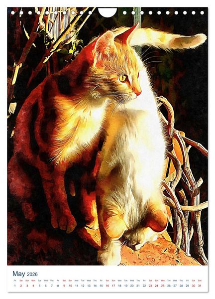 Produktbild: Umbrian Cats (Wall Calendar 2026 DIN A4 portrait), CALVENDO 12 Month Wall Calendar