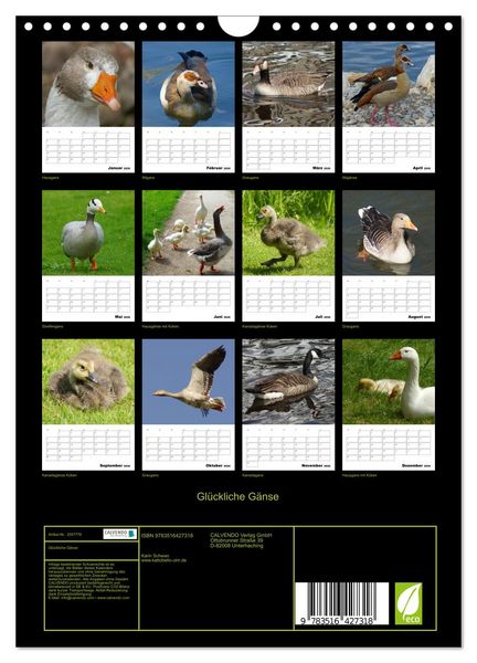 Produktbild: Gl&uuml;ckliche G&auml;nse (Wandkalender 2026 DIN A4 hoch), CALVENDO Monatskalender