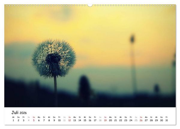 Produktbild: Unterwegs im Teufelsmoor (hochwertiger Premium Wandkalender 2026 DIN A2 quer), Kunstdruck in Hochglanz