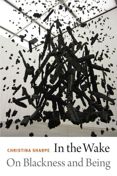 Produktbild: In the Wake