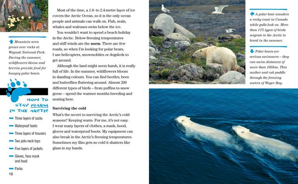 Produktbild: NAT GEO READER POLAR BEARS