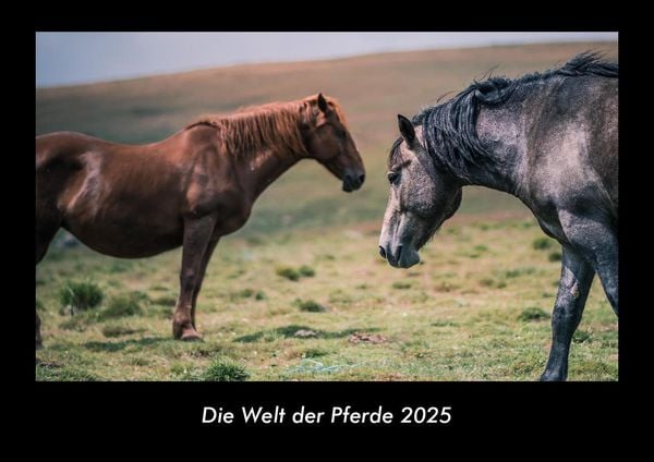 Produktbild: Die Welt der Pferde 2025 Fotokalender DIN A3