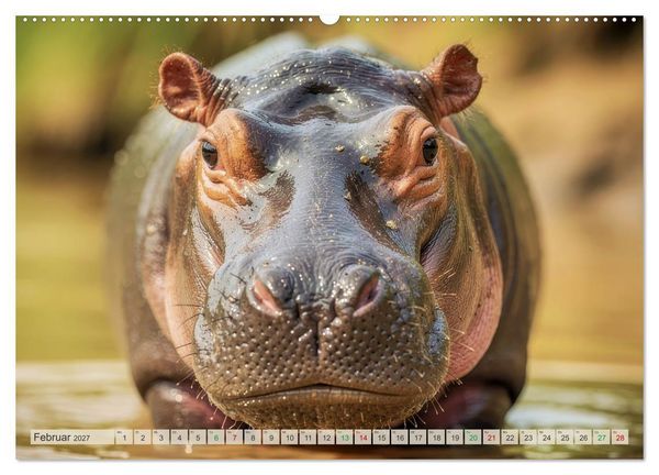 Produktbild: Babys der Wildnis (Wandkalender 2027 DIN A2 quer), CALVENDO Monatskalender