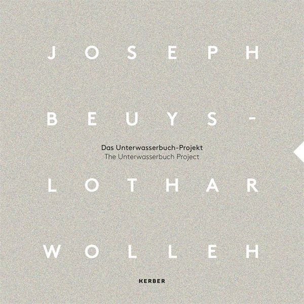 Produktbild: Joseph Beuys und Lothar Wolleh