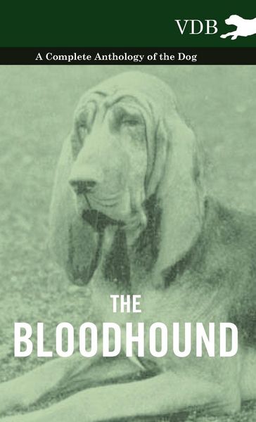 Produktbild: The Bloodhound - A Complete Anthology of the Dog -