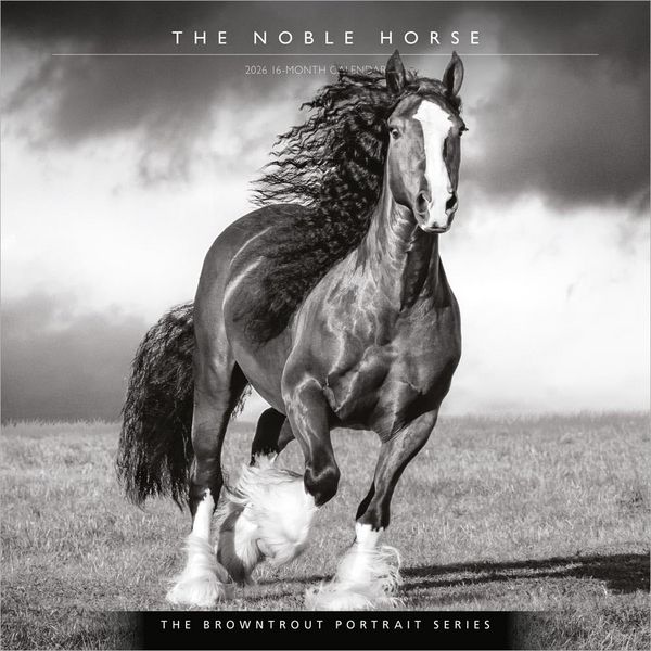 Produktbild: The Browntrout Portrait Series: The Noble Horse 2026 12 X 24 Inch (Hanging) Monthly Square Wall Calendar Plastic-Free