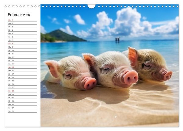 Produktbild: Schweinereien in der Karibik. Sonne und Spa&szlig; mit schwimmenden Schweinen (Wandkalender 2026 DIN A3 quer), CALVENDO Monatskalender
