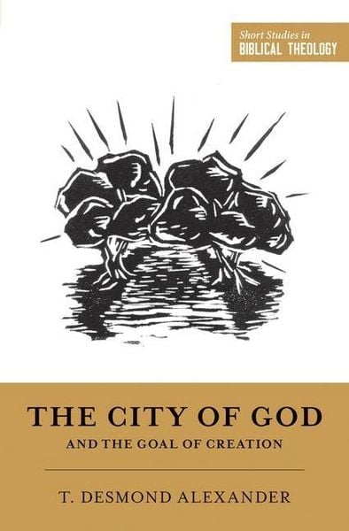 Produktbild: The City of God and the Goal of Creation