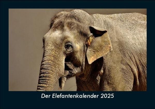 Produktbild: Der Elefantenkalender 2025 Fotokalender DIN A5