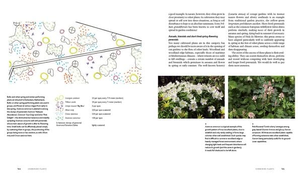 Produktbild: Planting