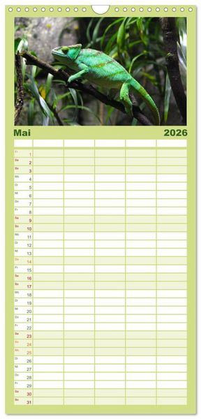 Produktbild: Familienplaner 2026 - Reptilien - Tierische Farbenpracht mit 5 Spalten (Wandkalender, 21 x 45 cm) CALVENDO