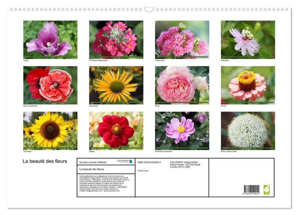 Produktbild: La beaut&eacute; des fleurs (Calendrier mural 2026 DIN A2 vertical), CALVENDO calendrier mensuel