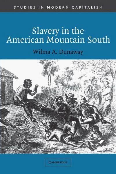 Produktbild: Slavery in the American Mountain South