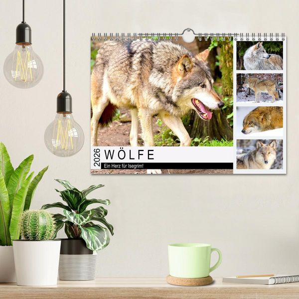Produktbild: W&ouml;lfe. Ein Herz f&uuml;r Isegrim! (Wandkalender 2026 DIN A4 quer), CALVENDO Monatskalender