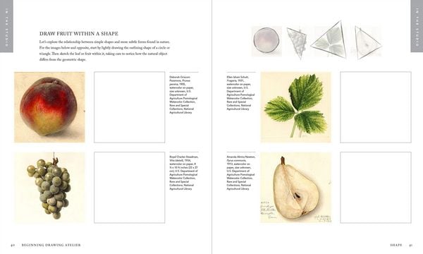 Produktbild: Beginning Drawing Atelier