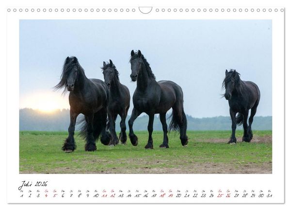 Produktbild: Friesen - stolze Giganten (Wandkalender 2026 DIN A3 quer), CALVENDO Monatskalender
