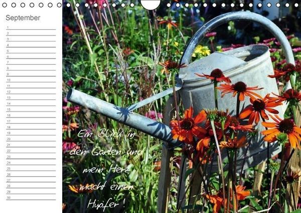 Produktbild: Befl&uuml;gelt (Wandkalender immerw&auml;hrend DIN A4 quer)