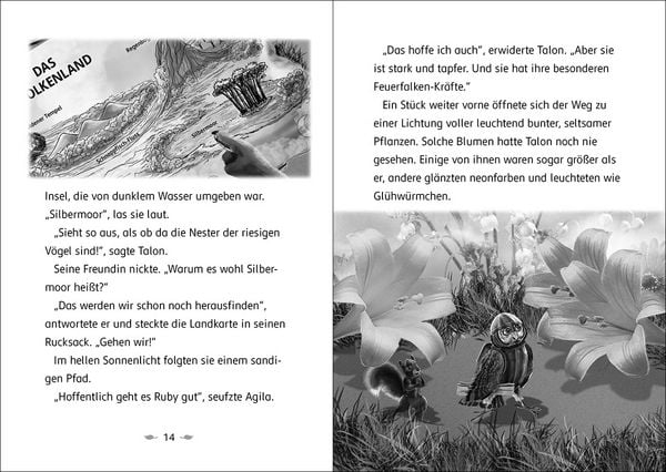 Produktbild: Der letzte Feuerfalke und das Silbermoor (Band 8)