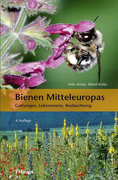 Produktbild: Bienen Mitteleuropas