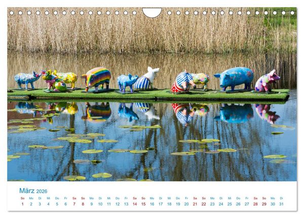 Produktbild: Streifzug auf Usedom (Wandkalender 2026 DIN A4 quer), CALVENDO Monatskalender