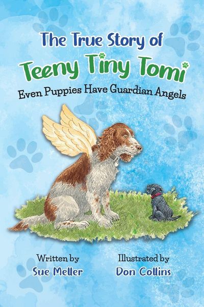 Produktbild: The True Story of Teeny Tiny Tomi