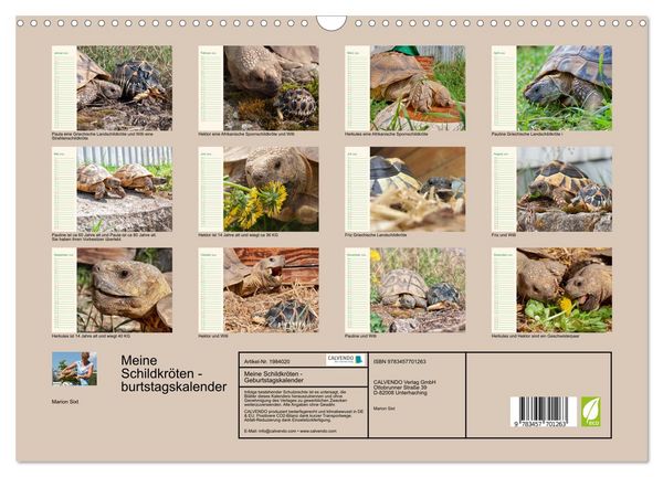 Produktbild: Meine Schildkr&ouml;ten - Geburtstagskalender (Wandkalender 2026 DIN A3 quer), CALVENDO Monatskalender