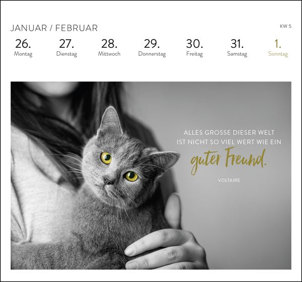 Produktbild: Postkartenkalender 2026: Inspirierende Worte für Katzenfreunde