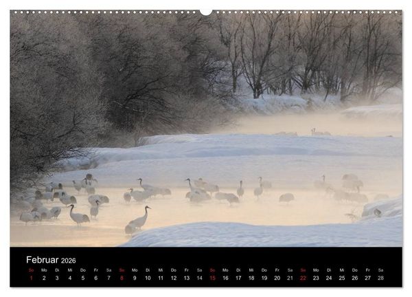 Produktbild: V&ouml;gel & Landschaften (Wandkalender 2026 DIN A2 quer), CALVENDO Monatskalender