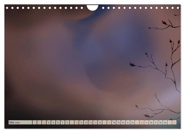 Produktbild: Kalender, Fotos selbst einkleben, selbst gestalten (Wandkalender 2026 DIN A4 quer), CALVENDO Monatskalender