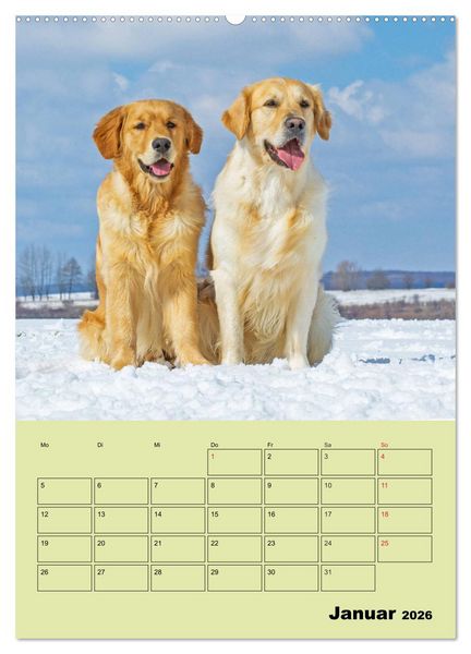 Produktbild: Jahresplaner Golden Retriever (hochwertiger Premium Wandkalender 2026 DIN A2 hoch), Kunstdruck in Hochglanz