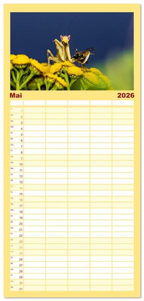 Produktbild: Familienplaner 2026 - Im Bann der Mantis mit 5 Spalten (Wandkalender, 21 x 45 cm) CALVENDO