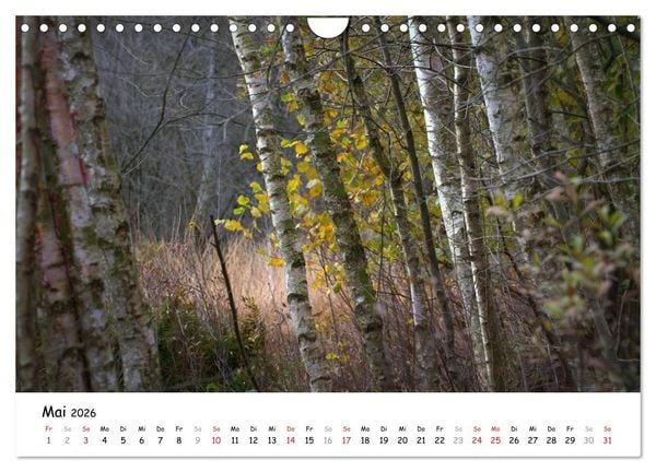 Produktbild: Unterwegs im Teufelsmoor (Wandkalender 2026 DIN A4 quer), CALVENDO Monatskalender