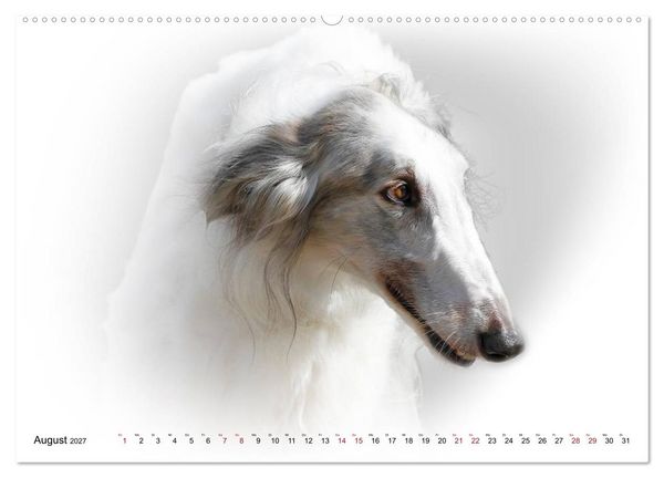 Produktbild: Windhund Portrait 2027 White Edition (Wandkalender 2027 DIN A2 quer), CALVENDO Monatskalender