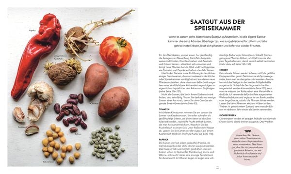 Produktbild: Frische Ernte zum kleinen Preis