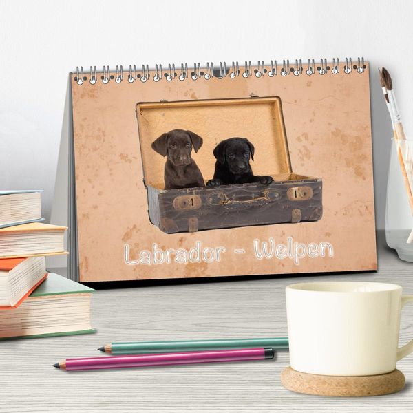 Produktbild: Labrador - Welpen (Tischkalender 2026 DIN A5 quer), CALVENDO Monatskalender