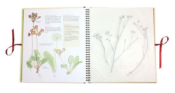 Produktbild: Auf der Hummelwiese &ndash; Das gro&szlig;e Herbarium