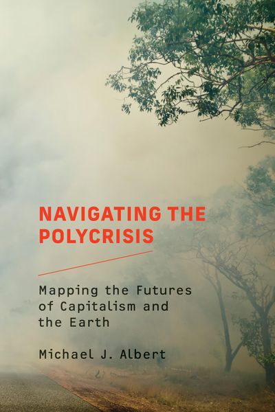 Produktbild: Navigating the Polycrisis