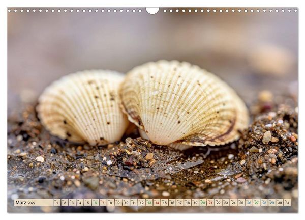 Produktbild: Die kleinsten Tiere - Weltweit (Wandkalender 2027 DIN A3 quer), CALVENDO Monatskalender